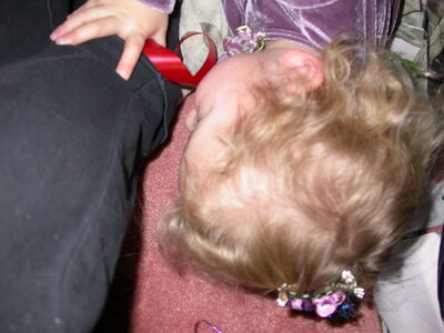 DSCN3529.JPG