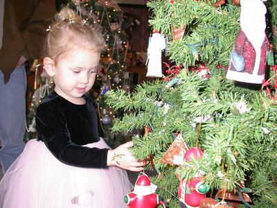 DSCN3419.JPG