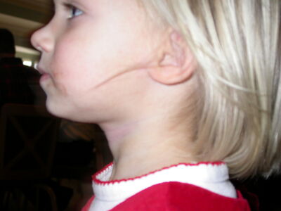 DSCN3479.JPG