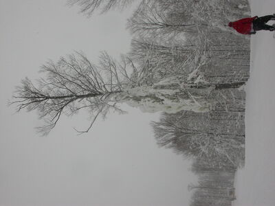 DSCN3578.JPG