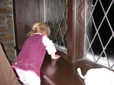 DSCN3649.JPG