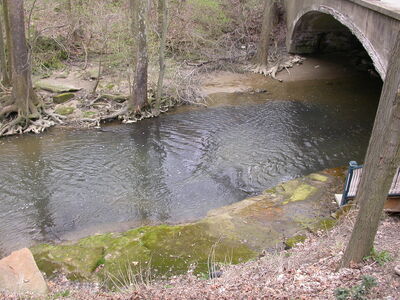 DSCN3833.jpg