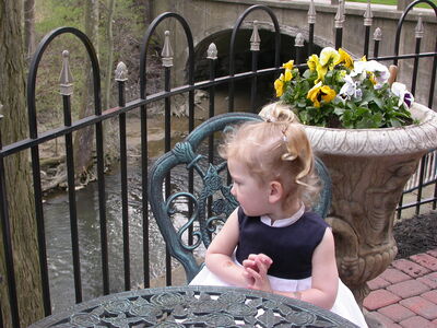 DSCN3842.jpg