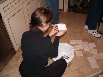 DSCF0379.JPG