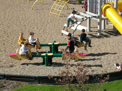 DSCF0207.jpg