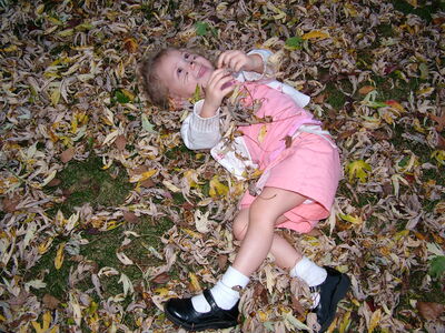 DSCF0353.jpg