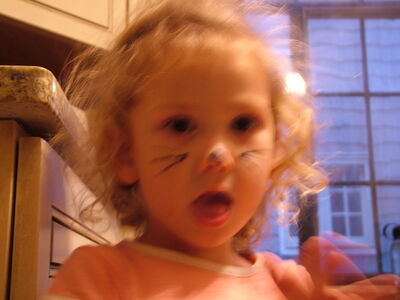 DSCF0357.jpg