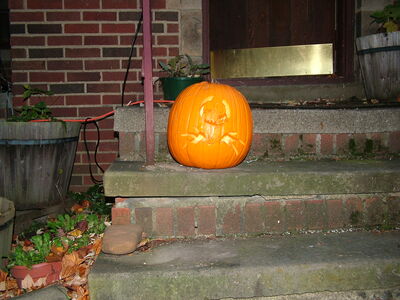 DSCF0361.jpg