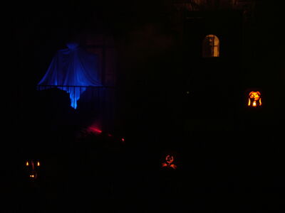 DSCF0372.jpg