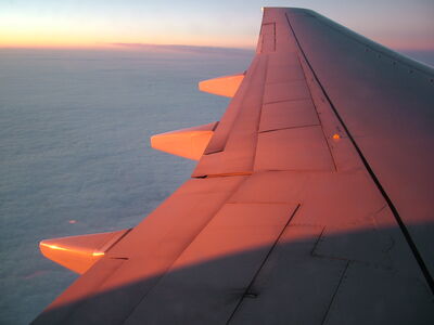 DSCF0416.JPG