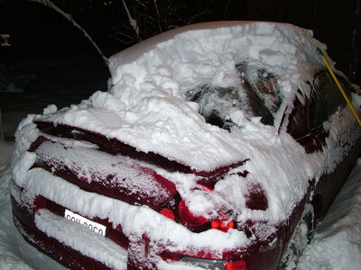 DSCF0518.JPG