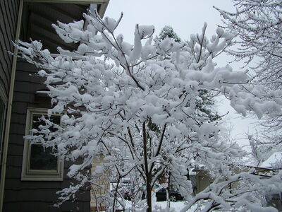 DSCF0643.JPG