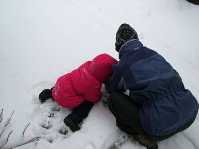 DSCF0644.JPG
