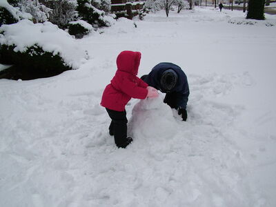 DSCF0647.JPG