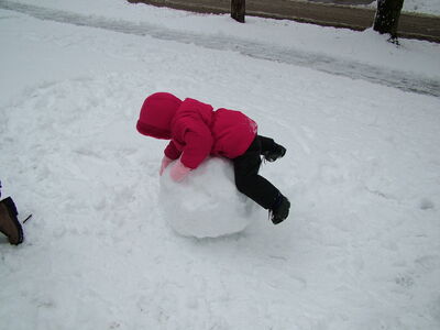 DSCF0650.JPG