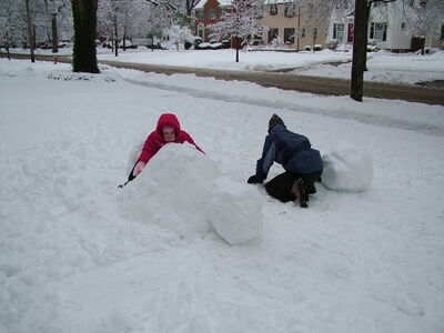 DSCF0652.JPG