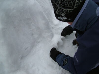 DSCF0654.JPG