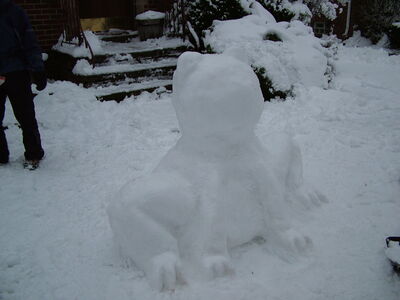 DSCF0659.JPG