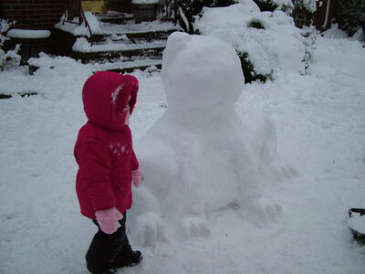 DSCF0660.JPG
