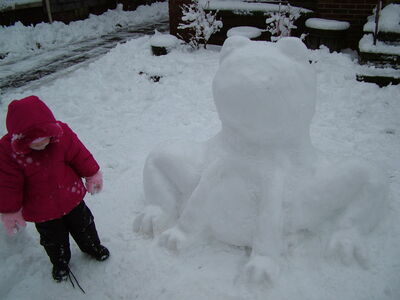 DSCF0661.JPG