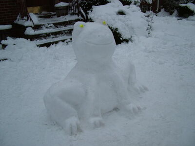 DSCF0662.JPG