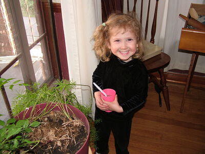 DSCF0749.JPG