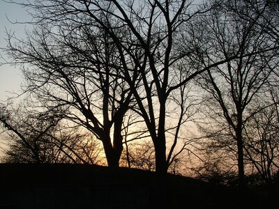 DSCF0753.JPG