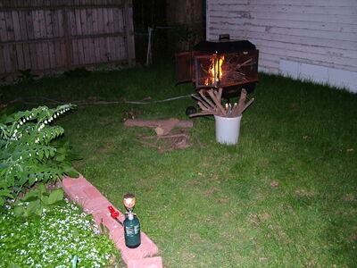 DSCF0869.JPG
