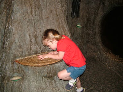 DSCF0917.JPG