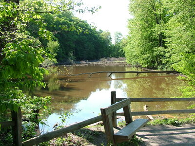 DSCF0919.JPG