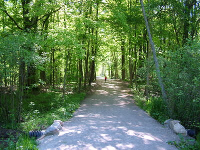 DSCF0922.JPG