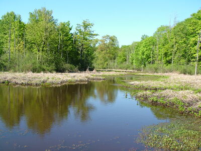 DSCF0923.JPG