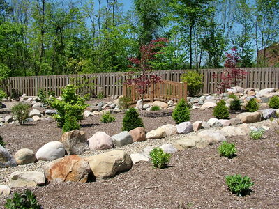 DSCF0971.JPG