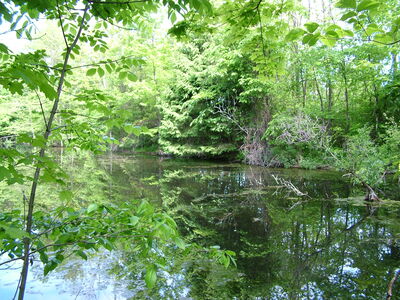 DSCF1032.JPG