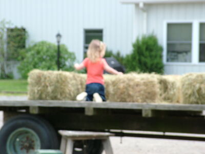 DSCF1043.JPG