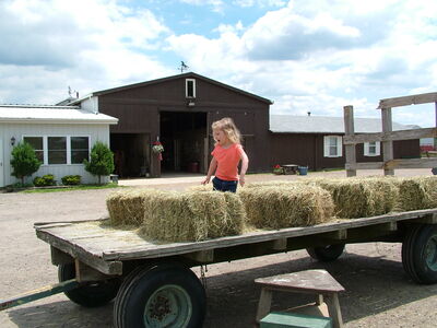 DSCF1044.JPG
