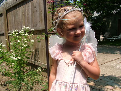DSCF1154.JPG