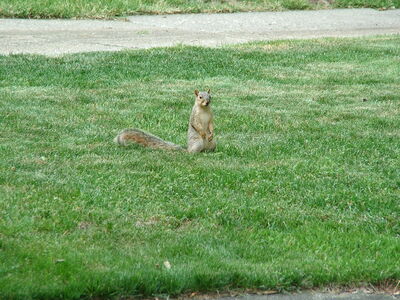 DSCF1258.JPG