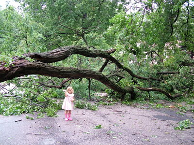 DSCF1382.JPG