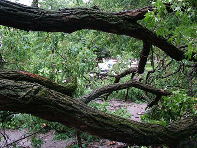 DSCF1383.JPG