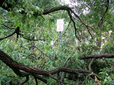 DSCF1384.JPG