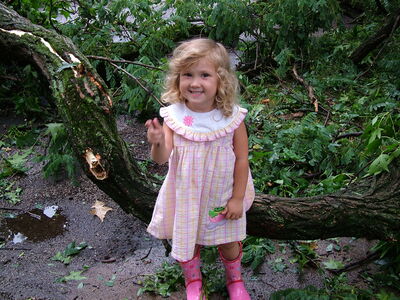 DSCF1385.JPG