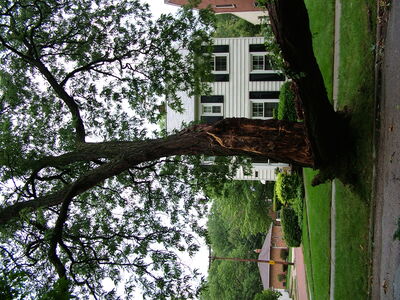 DSCF1386.JPG