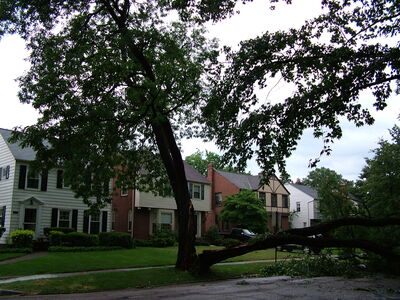 DSCF1387.JPG