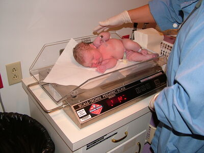 DSCF1420.JPG