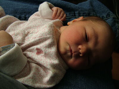 DSCF1478.JPG