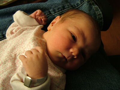 DSCF1479.JPG