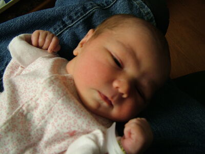 DSCF1481.JPG