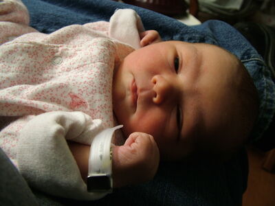 DSCF1483.JPG