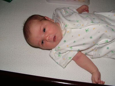 DSCF1549.JPG